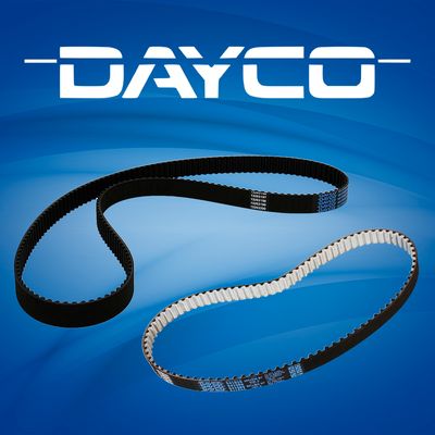 Curele de distribuție DAYCO
