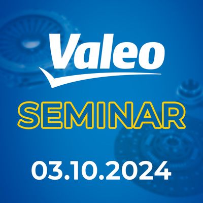 Seminar de la compania Valeo