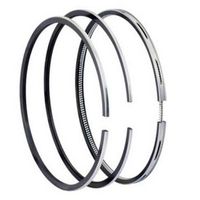 Inele piston